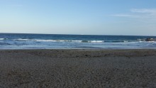 Coledale Beach 