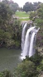 Whangarei falls